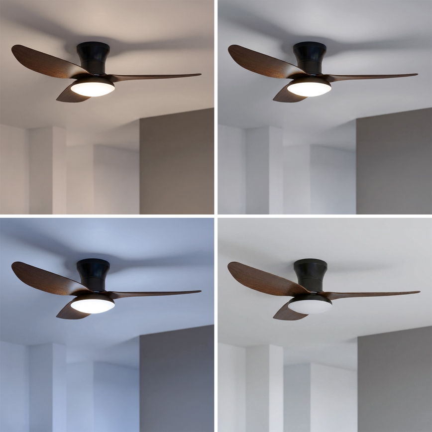 Brilagi - Ventilador de techo con luz LED regulable, 38W/230V, 100 cm, negro/marrón + mando a distancia