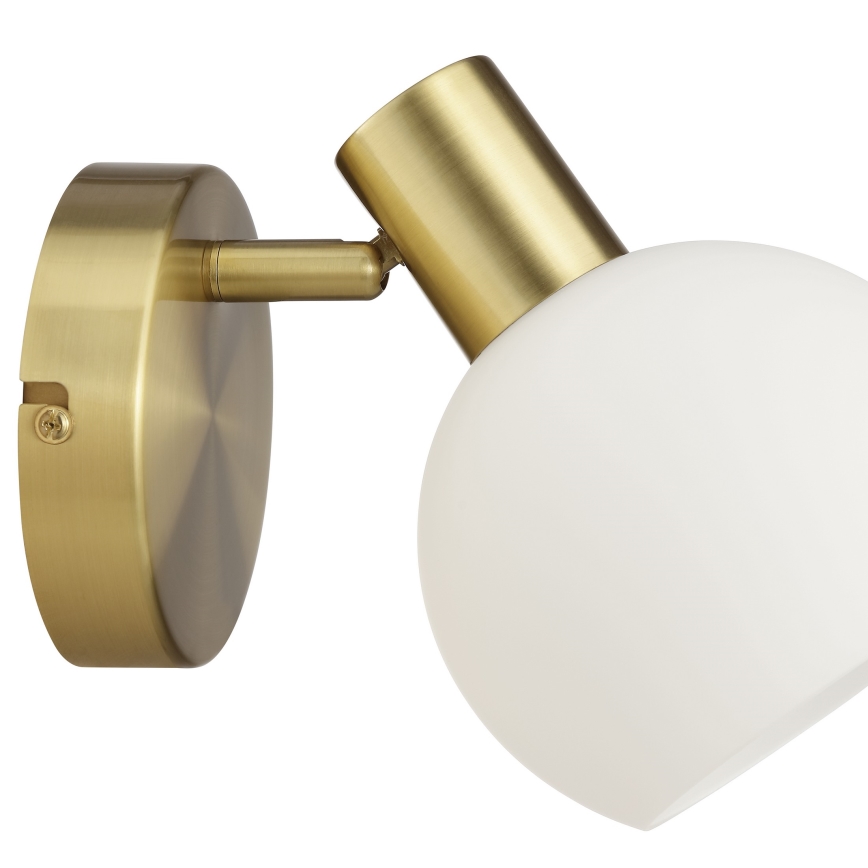 Brilliant - Aplique de pared orientable CONY 1xE14/20W/230V latón