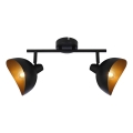 Brilliant - Lámpara de focos LAYTON 2xE14/25W/230V negra/dorada