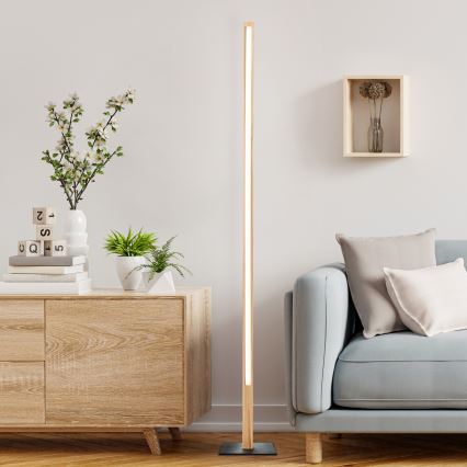 Brilliant - Lámpara de pie LED ARION LED/14W/230V pino