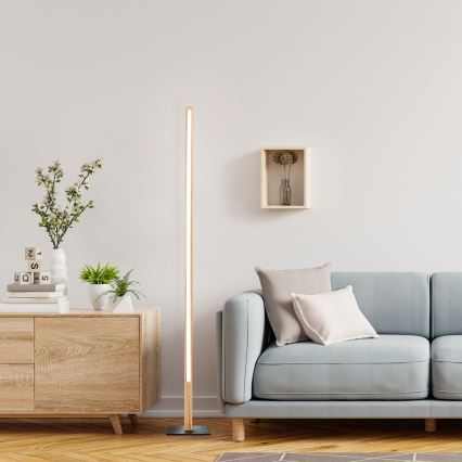 Brilliant - Lámpara de pie LED ARION LED/14W/230V pino
