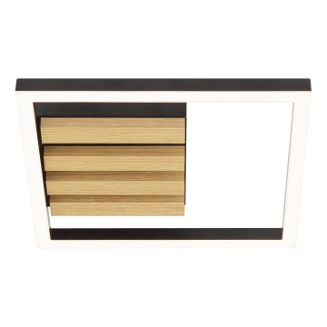 Brilliant - Lámpara de techo LED regulable CALMA LED/15W/230V negra