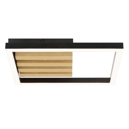 Brilliant - Lámpara de techo LED regulable CALMA LED/15W/230V negra
