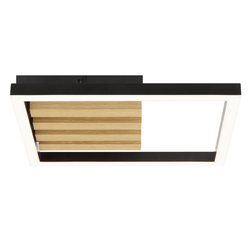 Brilliant - Lámpara de techo LED regulable CALMA LED/15W/230V negra