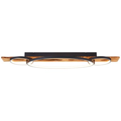 Brilliant - LED Lámpara de techo regulable PIRUS LED/40W/230V 30x90 cm madera de hevea