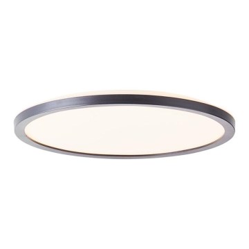 Brilliant - Lámpara de techo LED regulable SORELL LED/18W/230V 3000-6500K Ø 29 cm negra + mando a distancia