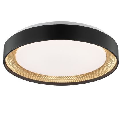 Brilliant - Lámpara de techo LED regulable WALDO LED/24W/230V 3000-6500K Ø 38,5 cm negro/dorado + mando a distancia