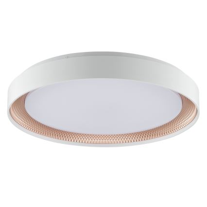 Brilliant - Luminaria de techo LED regulable WALDO LED/36W/230V 3000-6500K Ø 48,5 cm blanco/oro rosa + mando a distancia