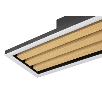 Brilliant - Luminaria de techo LED regulable CALMA LED/15W/230V, negra