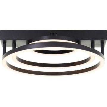 Brilliant - Luminaria de techo LED regulable PEDLEY LED/36W/230V negra