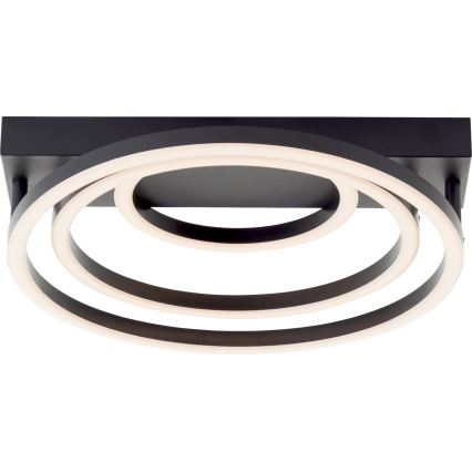 Brilliant - Luminaria de techo LED regulable PEDLEY LED/36W/230V negra