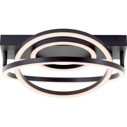 Brilliant - Luminaria de techo LED regulable PEDLEY LED/36W/230V negra