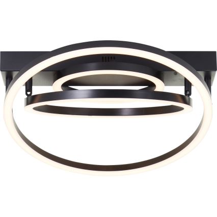 Brilliant - Luminaria de techo LED regulable PEDLEY LED/36W/230V negra