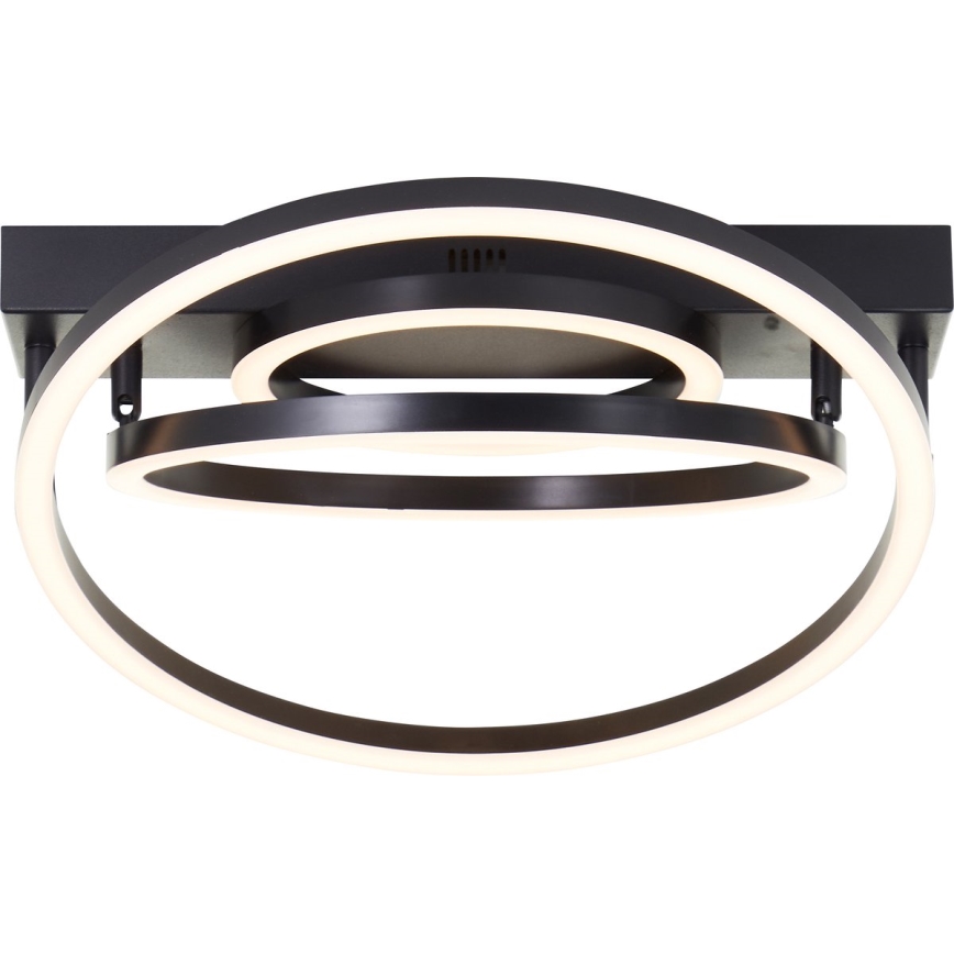 Brilliant - Luminaria de techo LED regulable PEDLEY LED/36W/230V negra