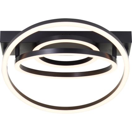 Brilliant - Luminaria de techo LED regulable PEDLEY LED/36W/230V negra