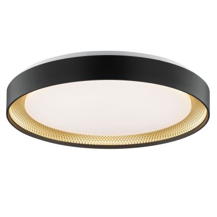 Brilliant - Luminaria de techo LED regulable WALDO LED/36W/230V 3000-6500K Ø 48,5 cm negro/dorado + mando a distancia