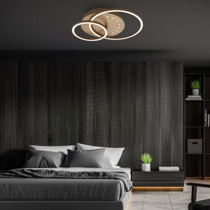 Brilo - Lámpara de techo LED regulable LED/26W/230V 3000K marrón
