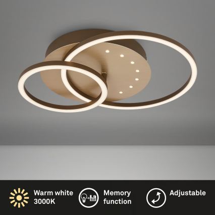 Brilo - Lámpara de techo LED regulable LED/26W/230V 3000K marrón