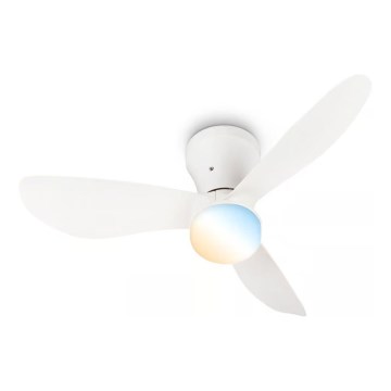 Brilo - Ventilador de techo LED regulable LUFITO LED/15W/230V 3000/4000/6000K blanco + mando a distancia