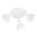 Briloner 2674-036 - Foco RETRO 3xE14/25W/230V blanco