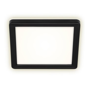 Briloner 3010-015 - Plafón LED LED/8W/230V 19x19 cm negro IP44