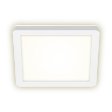 Briloner 3010-016 - Plafón LED LED/8W/230V 19x19 cm blanco IP44
