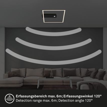 Briloner 3770-015 - Plafón LED para techo con sensor de movimiento y crepuscular FRAME LED/14W/230V 3000K 30x32 cm negro