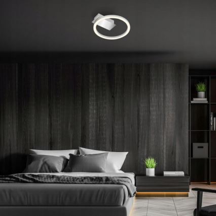 Briloner 3778-014 - Lámpara de techo LED FRAME LED/5W/230V Ø 20 cm cromo mate
