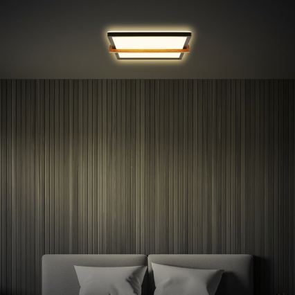 Briloner 3845015 - Luminaria de techo LED/18W/230V 29,5x31,5 cm