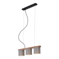 Briloner - Lámpara colgante RHON 3xE14/25W/230V árbol de caucho