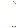 ByRydens - Lámpara de pie CURVE 1xGU10/7W/230V dorada