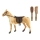 Caballo de cepillado con accesorios