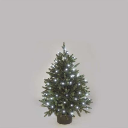 Cadena LED para exterior 40xLED/9m IP44 blanco frío