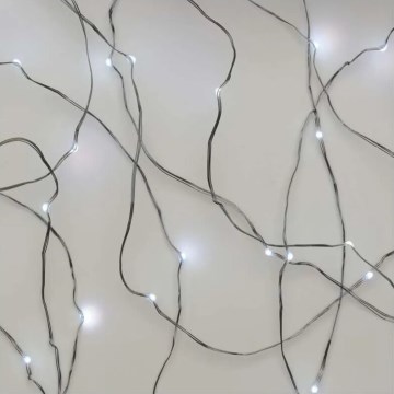 Cadena luminosa LED, 20 LEDs, alimentada por 2 pilas AA, 2,4 m, blanco frío