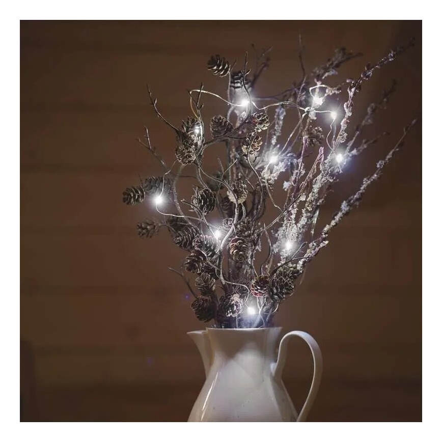 Cadena luminosa LED, 20 LEDs, alimentada por 2 pilas AA, 2,4 m, blanco frío