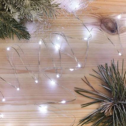Cadena luminosa LED, 20 LEDs, alimentada por 2 pilas AA, 2,4 m, blanco frío
