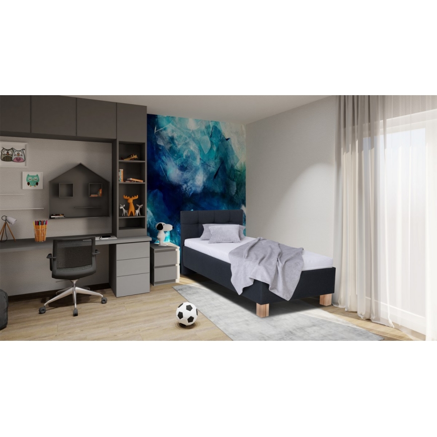 Cama tapizada con arcón (sin colchón) MARIA ONE 90 x 200 cm, antracita