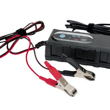 Cargador de baterías para automóvil de 6 etapas 6/12V 3,8A IP65