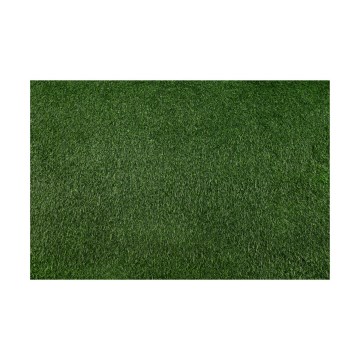 Césped artificial BELLIN 100 x 200 cm, 18 mm, verde