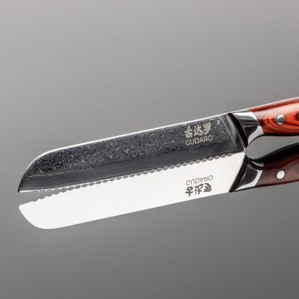 Gudaro - Cuchillo de pan de cocina Damasco KENSHO 8, 67 capas de acero, longitud 20 cm