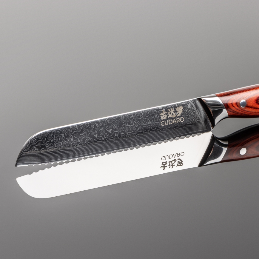 Gudaro - Cuchillo de pan de cocina Damasco KENSHO 8, 67 capas de acero, longitud 20 cm