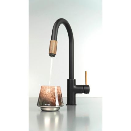 Deante BCA_B64M - Grifo para fregadero ASTER negro/latón