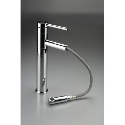 Deante BGE_022K - Grifo de lavabo con ducha extraíble ORA 30,9 cm cromo brillante