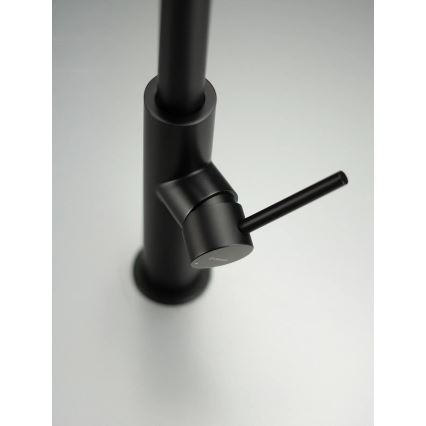 Deante BQJ_N62M - Grifo de fregadero EVORA negro