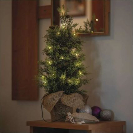 Decoración navideña LED 30xLED/3xAA IP44