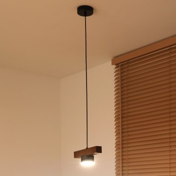 Duolla - Lámpara colgante con cable IRONLINE 1xGX53/3W/230V pino roble/negro