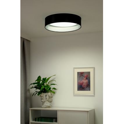 Duolla - Plafón LED ROLLER LED/24W/230V diá. 45 cm negro/plata