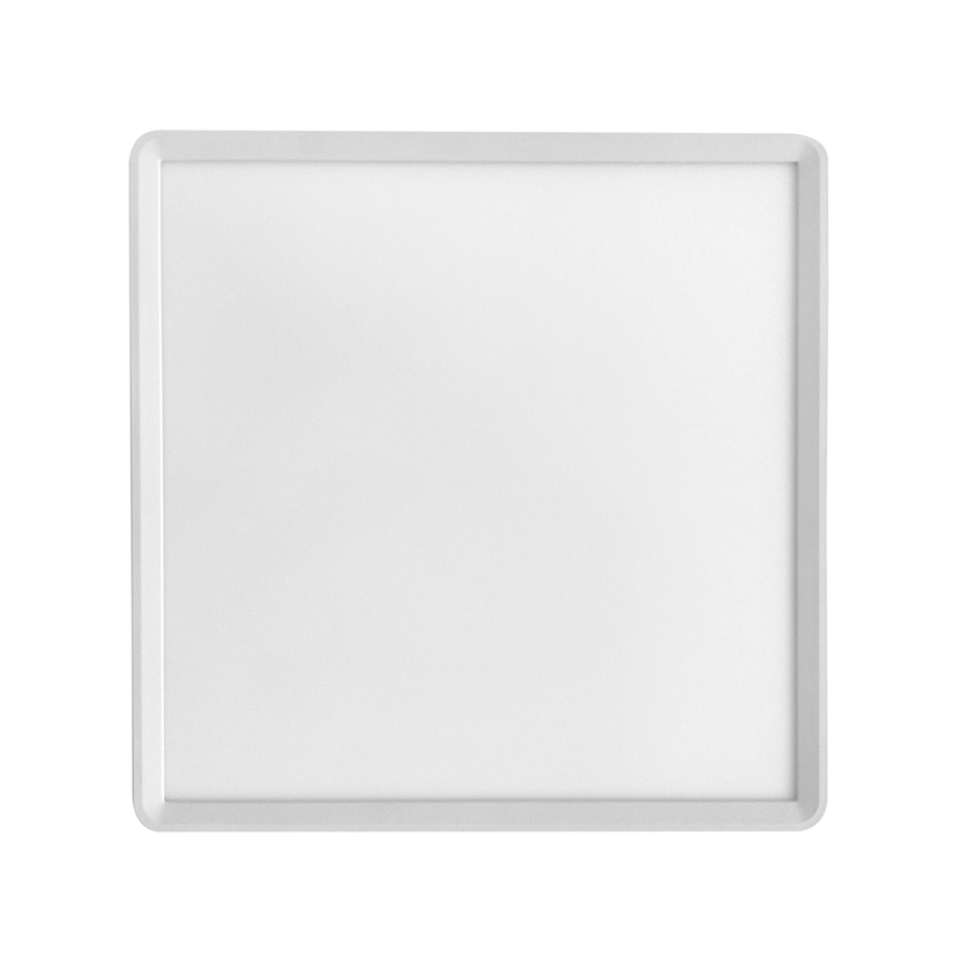 Plafón LED TERY LED/24W/230V 3000/4000/6000K 30x30 cm IP40 blanco