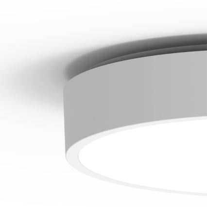 Plafón LED de exterior MARTIN LED/15W/230V 3000/4000K diá. 30 cm IP65 blanco