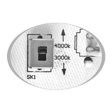Plafón LED de exterior MARTIN LED/15W/230V 3000/4000K diá. 30 cm IP65 negro